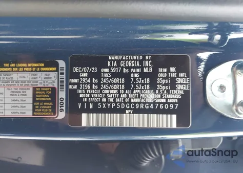 2024 Kia Telluride Sx Prestige X-Pro из США, поврежденный, VIN 5XYP5DGC9RG476097